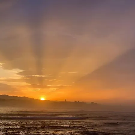 Les Pieds Dans L Eau *